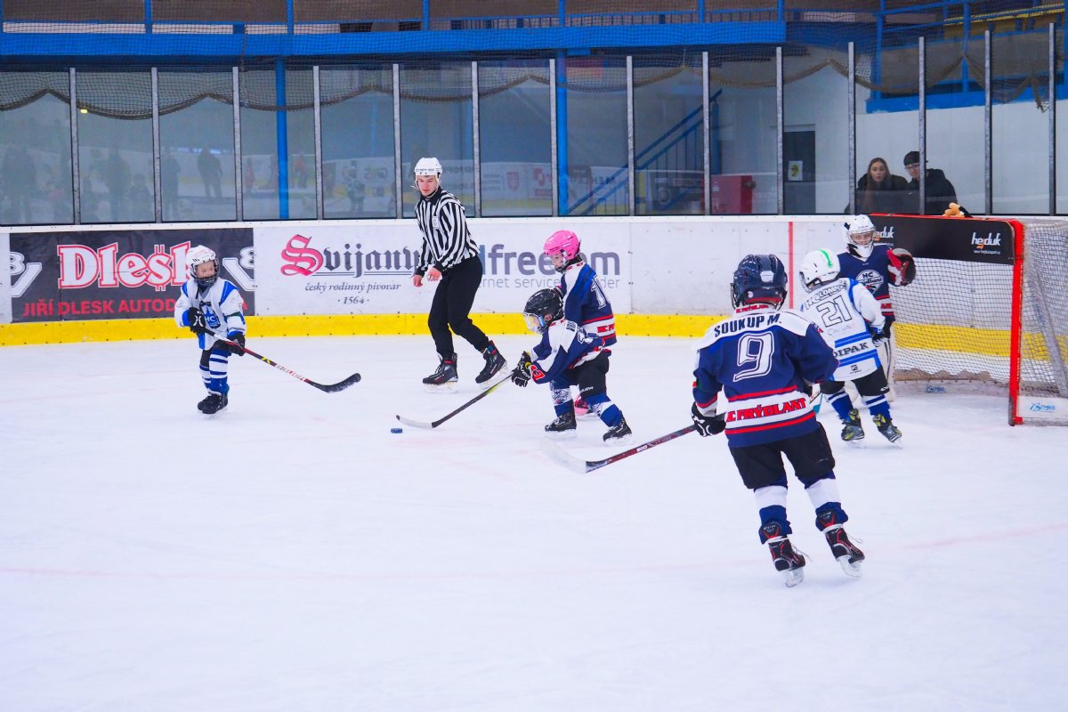 V�SLEDKOV� SERVIS ML�DE�E 48. T�DEN (24.11. - 30.11.)