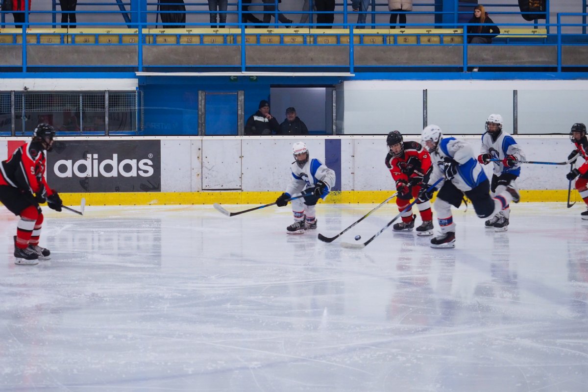 V�SLEDKOV� SERVIS ML�DE�E - 11. t�den (9. - 15.3.)